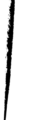 {E